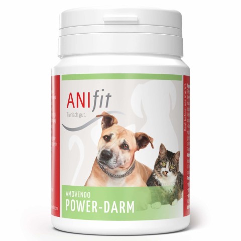 Hund Katze Nahrungsergänzungen Schonkost Hund Schonkost Katze Power-Darm 140g 1 Stück -1- Anifit